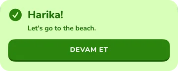 Geri bildirim: Harika! Let's go to the beach.